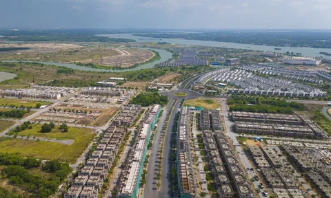 'Novaland đã trở lại'