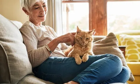 Bệnh viện mở rộng, lưu trú y tế bước vào chu kỳ tăng trưởng