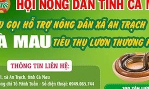 Cà Mau kêu gọi "giải cứu" lươn với giá 60.000 đồng/kg