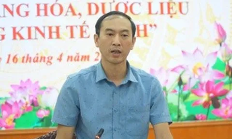 Nỗ lực đưa “quốc bảo” sâm Lai Châu vào danh mục dược điển Việt Nam