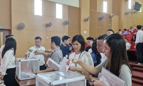 Hà Nội: 17 lô đất ở xã Quốc Oai trúng đấu giá 84-125 triệu/m2