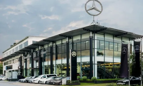 Áp lực cạnh tranh tăng cao, nhà phân phối Mercedes thu hẹp lợi nhuận