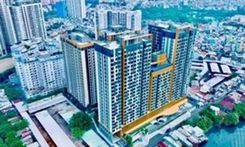 Bất ngờ lý do nhiều chủ đầu tư buộc phải làm căn hộ diện tích lớn