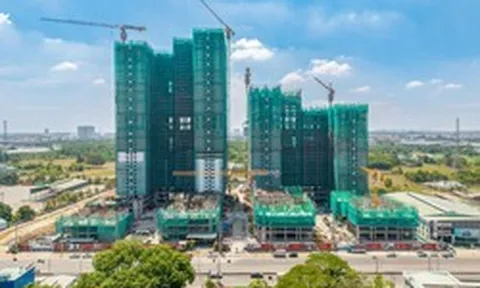 La Pura cất nóc tòa tháp đầu tiên, đánh dấu một năm bứt tốc