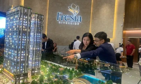 Giá chung cư mở bán ở Hà Nội cao hơn TP.HCM gần 20 triệu/m2