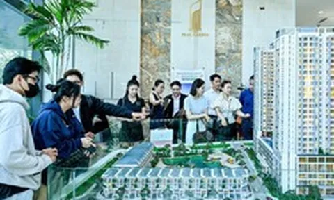 Phân khúc 75–80 triệu/m² trở thành điểm cân bằng thị trường