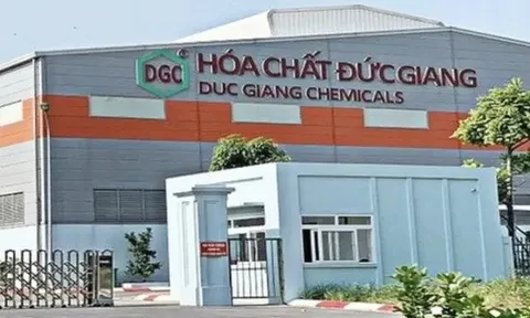 Em trai cựu Chủ tịch Đào Hữu Huyền vào HĐQT Hóa chất Đức Giang