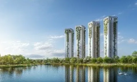 Khám phá các dòng khoáng tại Forest Onsen – Tổ hợp onsen trị liệu cách bến Bạch Đằng 30 phút lái xe