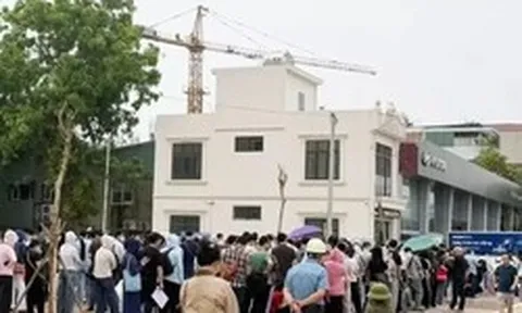 Tự ý 'phân lô bán mộ' hơn 21.000 m² đất nông nghiệp