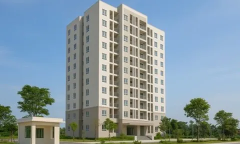 Phú Thọ chấp thuận chủ trương đầu tư dự án nhà ở xã hội cao tầng quy mô hơn 633 tỷ đồng