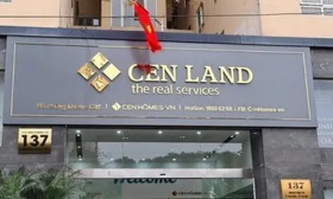 Thêm một thành viên HĐQT Cenland xin từ nhiệm trước thềm ĐHĐCĐ