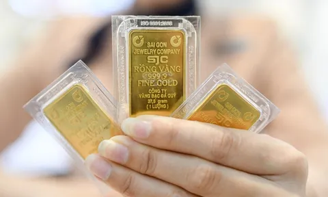 SJC lãi kỷ lục dù mất một nửa doanh thu