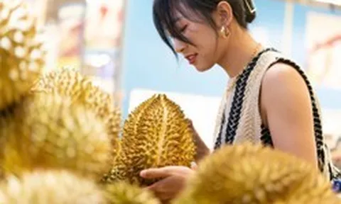 Khi Trung Quốc thay đổi, Việt Nam tăng tốc: 'Ngôi vương’ Thái Lan đối mặt thách thức từ mọi phía