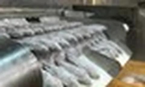 Không phải đất hiếm hay nông sản, Việt Nam sở hữu một 'mỏ vàng' được Mỹ, Brazil săn đón: Xuất khẩu tăng 150%, nước ta có lợi thế so với Trung Quốc