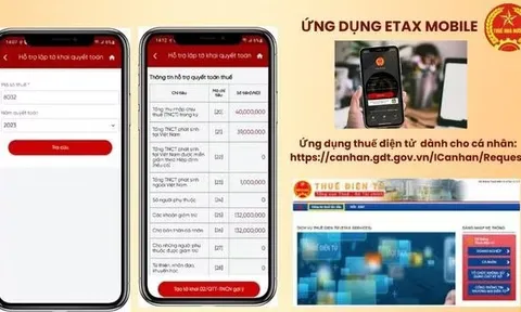 Hơn 95% hồ sơ hoàn thuế tự động, vì sao tiền chưa về tài khoản?