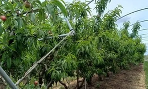 Không phải dầu thô, một mặt hàng của Iran đang gặp khó do xung đột: Mỗi lô hàng lỗ 50%, Ấn Độ bị ‘vạ lây’