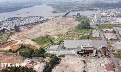 Đồng Nai chậm đấu giá đất vì góp ý 'chung chung'