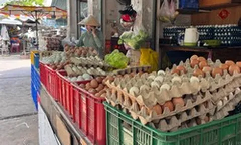 Lao đao vì giá trứng giảm sâu