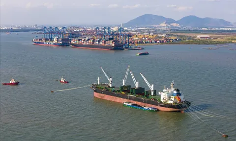 Đề xuất cơ chế phát triển hệ sinh thái tài chính hàng hải tại TP.HCM