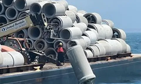 Phát hiện 68 sà lan đã đổ 80.000 tấn bê tông từ một cây cầu bị phá hủy xuống đáy biển, tạo nên cả một hệ sinh thái đặc biệt dưới đại dương