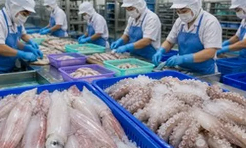 Việt Nam đón tin vui cùng lúc từ Hàn Quốc và Nhật Bản