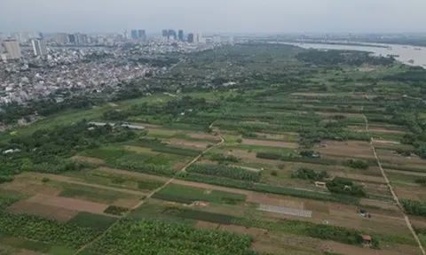 Bộ Nông nghiệp và Môi trường yêu cầu đăng tải công khai vi phạm đất đai