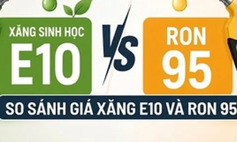 So sánh giá xăng E10 và RON 95