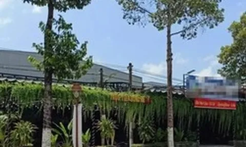 Buộc tháo dỡ sân Pickleball ở Cà Mau