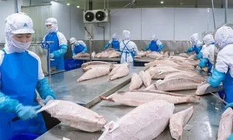 Việt Nam đón tin vui mới từ Nga