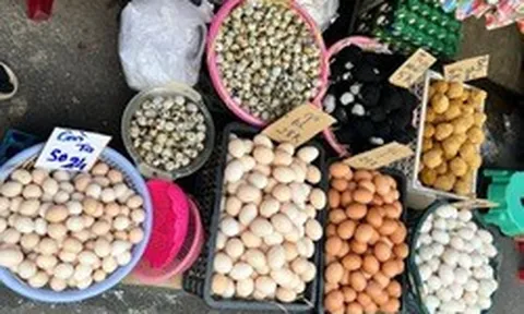 Trứng gà rớt giá, người nuôi lỗ nặng, bán lẻ giảm nhỏ giọt