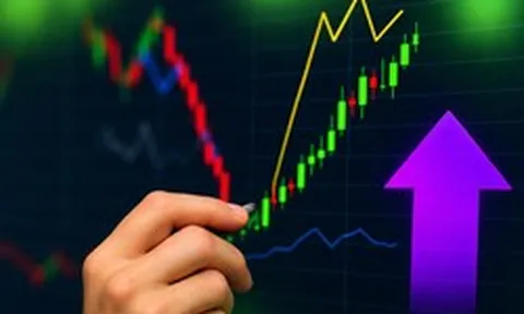Cổ phiếu tăng gần 60% sau 7 phiên, doanh nghiệp tự đề nghị cơ quan quản lý kiểm tra giao dịch