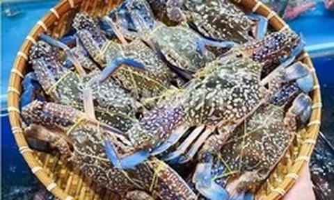Mỹ ngừng nhập ghẹ từ Philippines, ghẹ Việt đón cơ hội