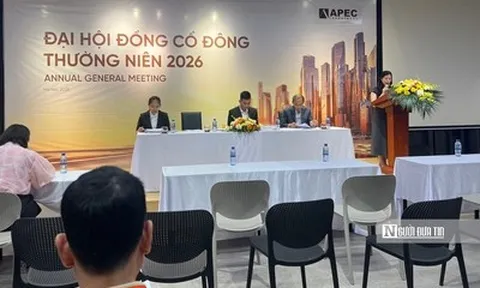 ĐHĐCĐ API: Mục tiêu có lãi trở lại, kỳ vọng bứt tốc từ loạt dự án tại Huế, Lạng Sơn, Bắc Giang