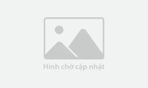 Viettel Post tăng tốc mở rộng hoạt động tại Đông Nam Á