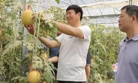 Phát minh của Trung Quốc gây sốc ngành rau quả: Tạo ra ‘dưa hấu vũ trụ’ có hương vị sữa, chocolate, thu về hơn 30.000 đơn đặt hàng