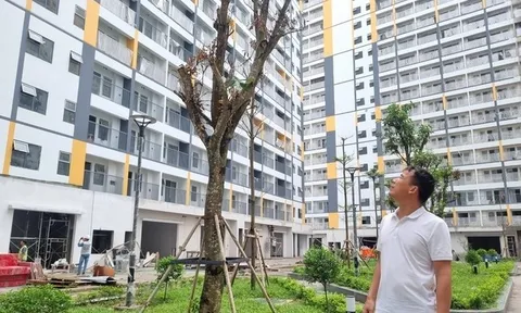 Khó cho nhà ở xã hội