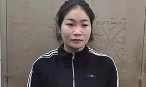 Nữ quái lừa đảo làm thủ tục đất đai, chiếm đoạt nhiều tỷ đồng
