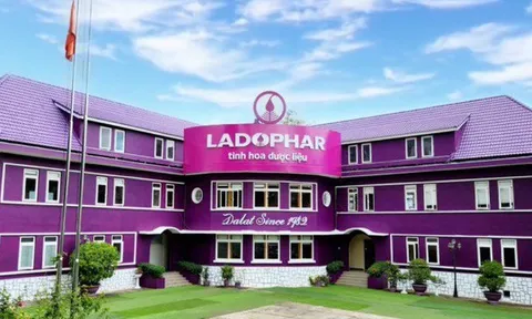 Ladophar bị truy thu, xử phạt hơn 1,57 tỷ đồng do sai phạm về thuế