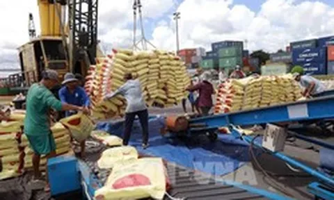 Xuất khẩu nông lâm thủy sản 6 tháng đầu năm đạt gần 36 tỷ USD