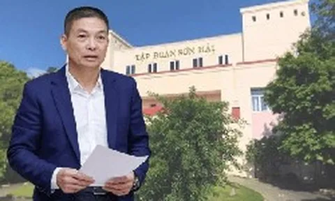 Thanh tra Tập đoàn Sơn Hải: Kết luận về số tiền 290,5 tỷ đồng chậm nộp