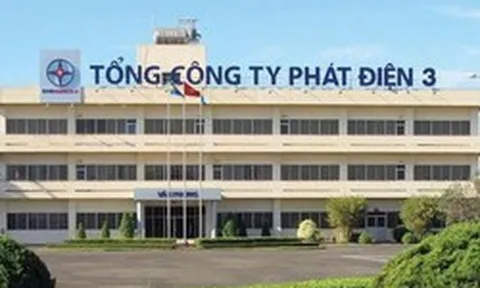 EVNGenco3 trả cổ tức năm 2025 bằng tiền tỷ lệ 10%