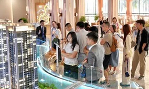 TP.HCM: Nỗ lực gỡ "nút thắt" nhà ở để đón sóng chuyên gia ngoại