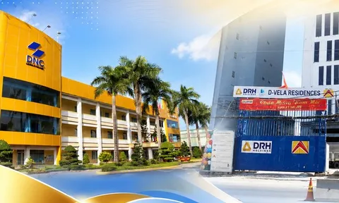 DRH Holdings và một doanh nghiệp vật liệu bị xử phạt hàng trăm triệu đồng
