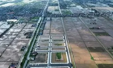 Đất đấu giá vùng quê 'hạ nhiệt' sau bỏ cọc hàng loạt, có lô giảm gần 1 tỷ đồng