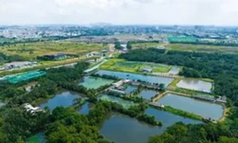 Diện mạo quy hoạch mới của 'siêu' khu đô thị 'treo' lâu đời nhất TPHCM