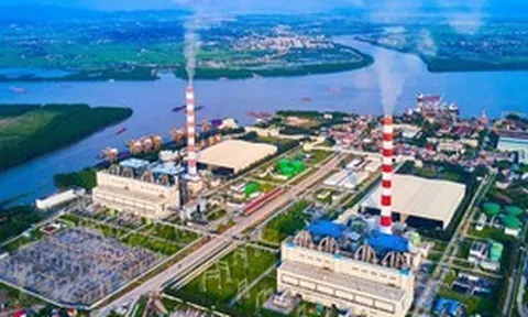 Sau khi Tổng Giám đốc bị bắt, Nhiệt điện Hải Phòng báo lãi hơn 508 tỷ đồng