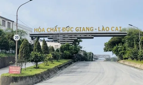 Khởi tố thêm 3 lãnh đạo cấp cao của Hóa chất Đức Giang
