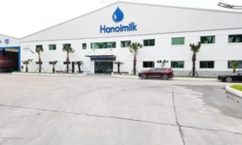 Hanoimilk báo lãi quý II/2026 tăng hơn 56%