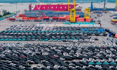VinFast dự kiến hòa vốn trong nước năm 2027, sau đó có lãi toàn cầu