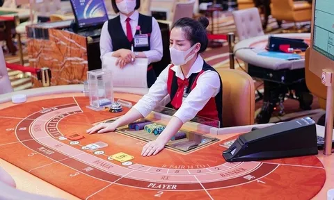 Casino lớn nhất Quảng Ninh hụt thu vì khách VIP thắng liên tục